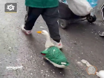 متفاوت‌ترین هوادار روز اول رقابت‌های جام ۲۰۲۶