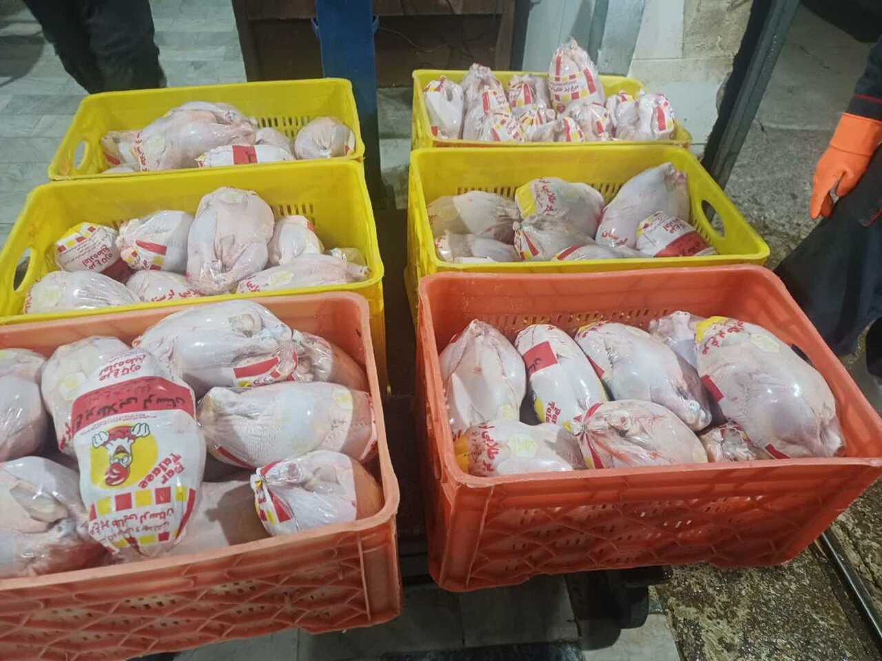 ۳۱۵ کیلوگرم مرغ تنظیم بازار در جوانرود توزیع شد