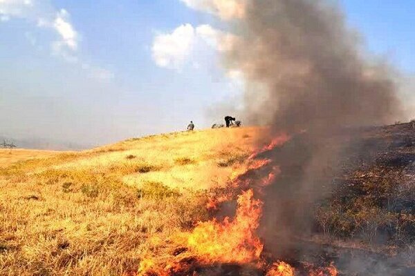 داغ خاکستر بر پیشانی زاگرس؛ جارسوزی نفس مزارع کرمانشاه را می‌گیرد