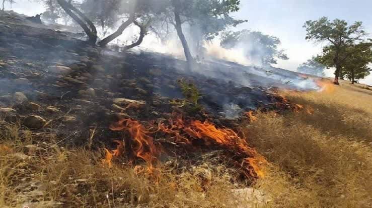 فرمانداری سنندج: آتش‌سوزی ارتفاعات آبیدر مهار شد