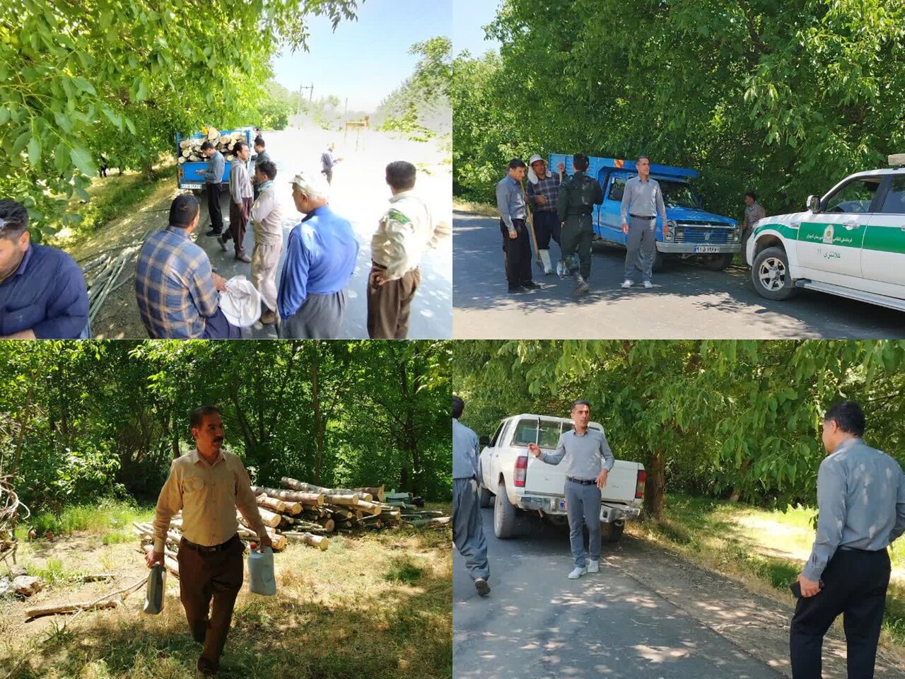 کشف ۵۰۰ کیلوگرم چوب حاصل از قطع غیرمجاز درختان بید در کامیاران