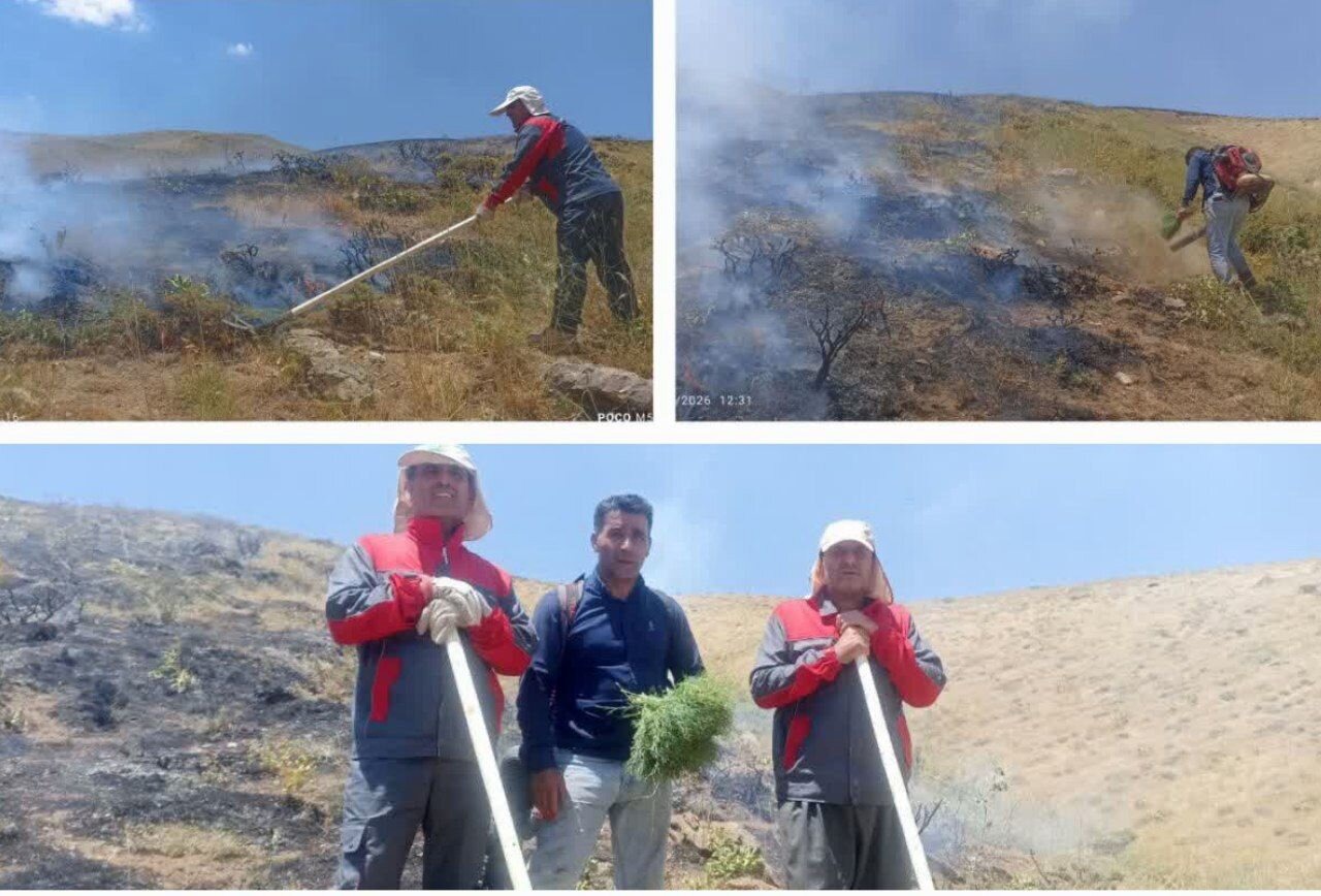 مهار آتش‌سوزی ۵ هکتار از مراتع روستای سرواله دهگلان