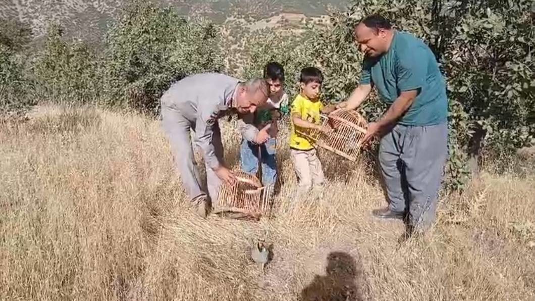 رهاسازی دوقطعه کبک در طبیعت کوسالان با حضور کودکان سروآبادی