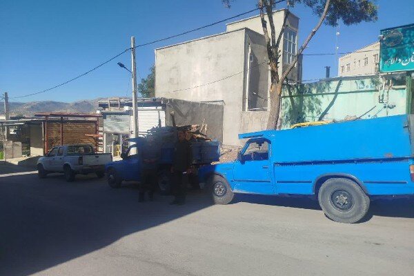 آذری: ۴ تن چوب بید غیرمجاز در دالاهو کشف شد