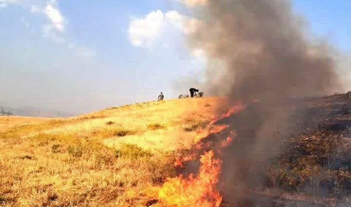 کاهش ۸۰ درصدی سوزاندن کاه و کلش در مزارع مازندران
