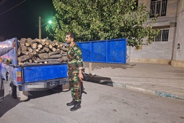 محموله چوب‌ قاچاق بلوط در روانسر توقیف شد