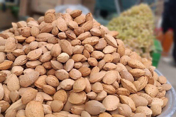 سومین جشنواره بادام و عسل بیلوار در گندم‌آباد برگزار شد