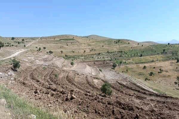 شناسایی ۲۲ مورد تصرف اراضی ملی در چهار شهرستان کردستان